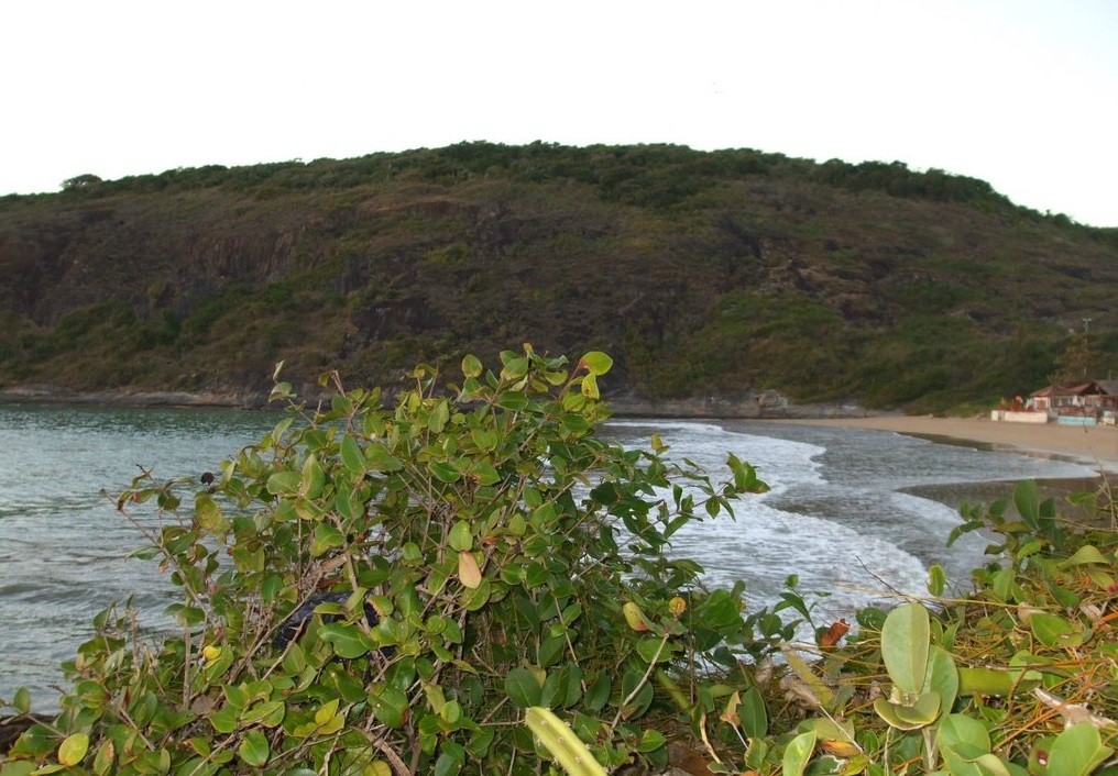 Praia da Onça