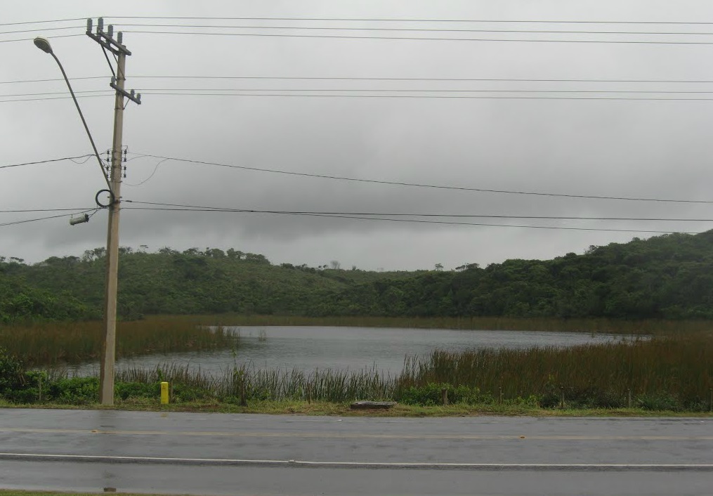 Praia da Graçai