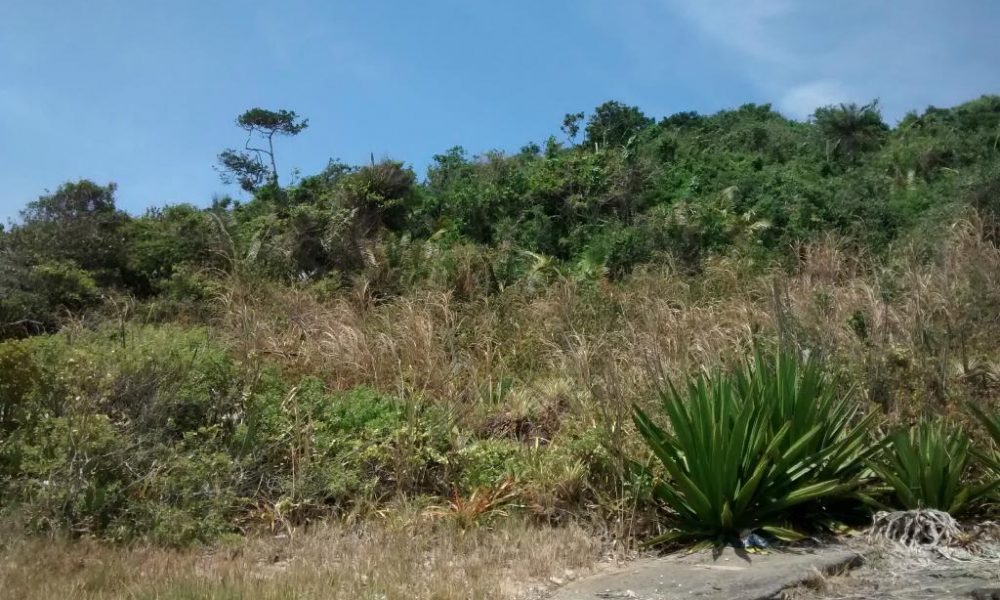 Praia do Una