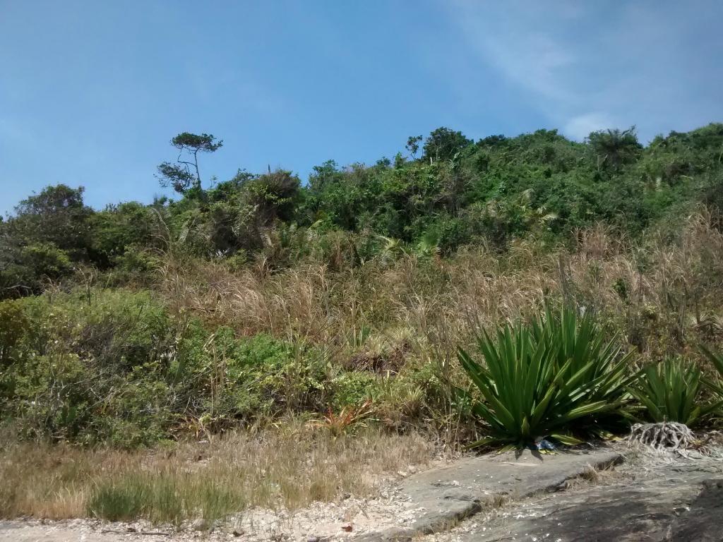 Praia do Una