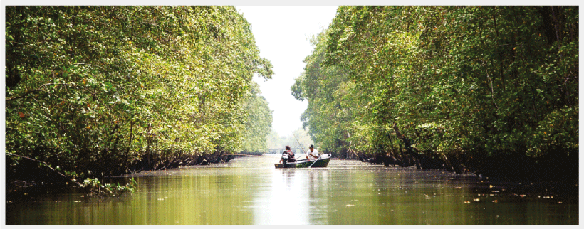 Ecoturismo em Guarapari